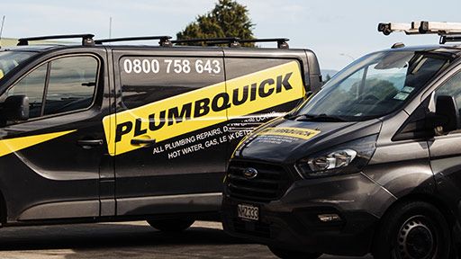 Professional Wadestown Plumbers